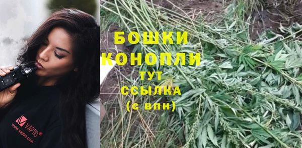 амф Аркадак