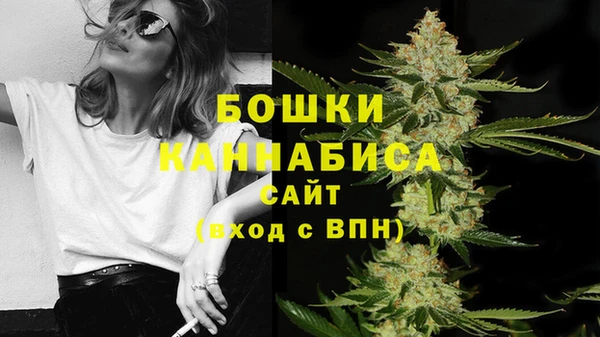 прущие грибы Арсеньев