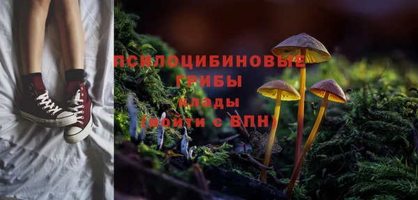 амф Аркадак