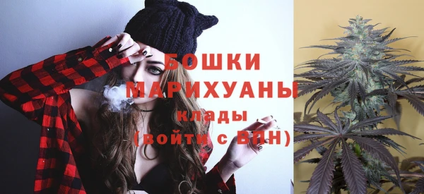 амф Аркадак