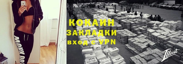 прущие грибы Арсеньев